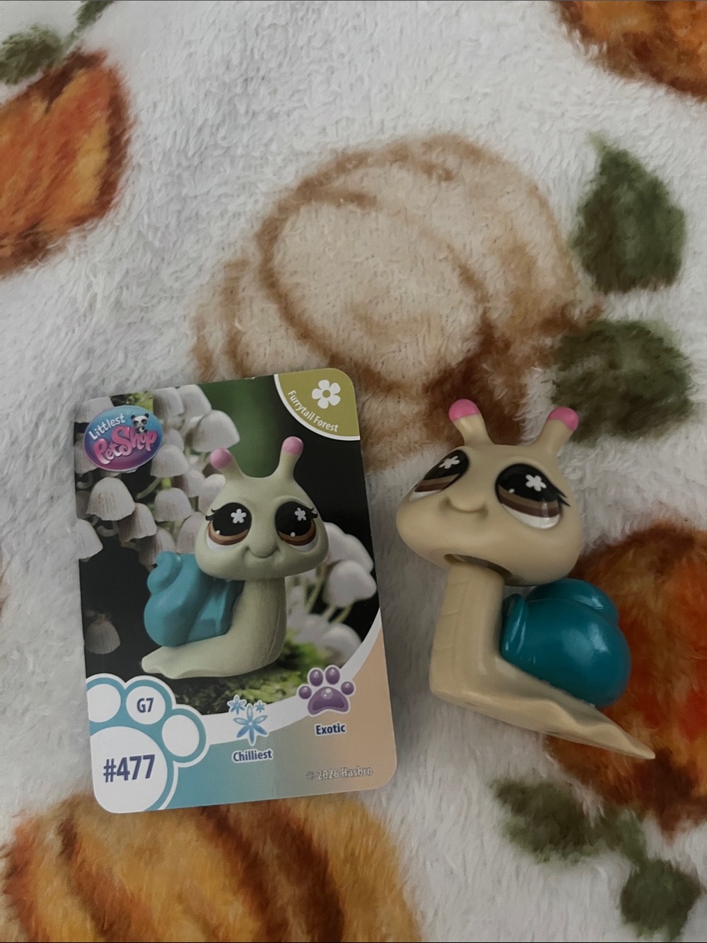 Littlest Pet Shop - Exotic
